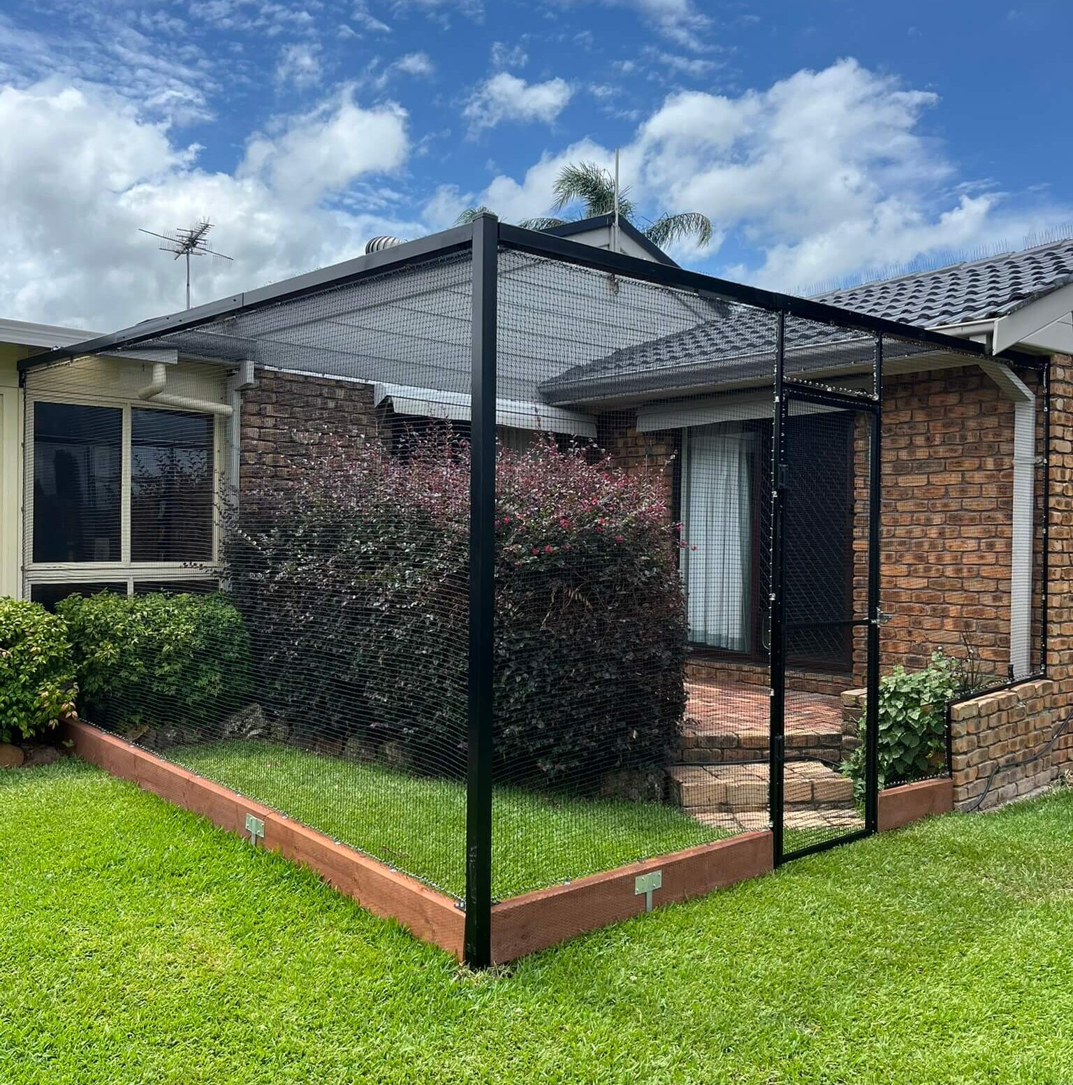 cat enclosure in garden