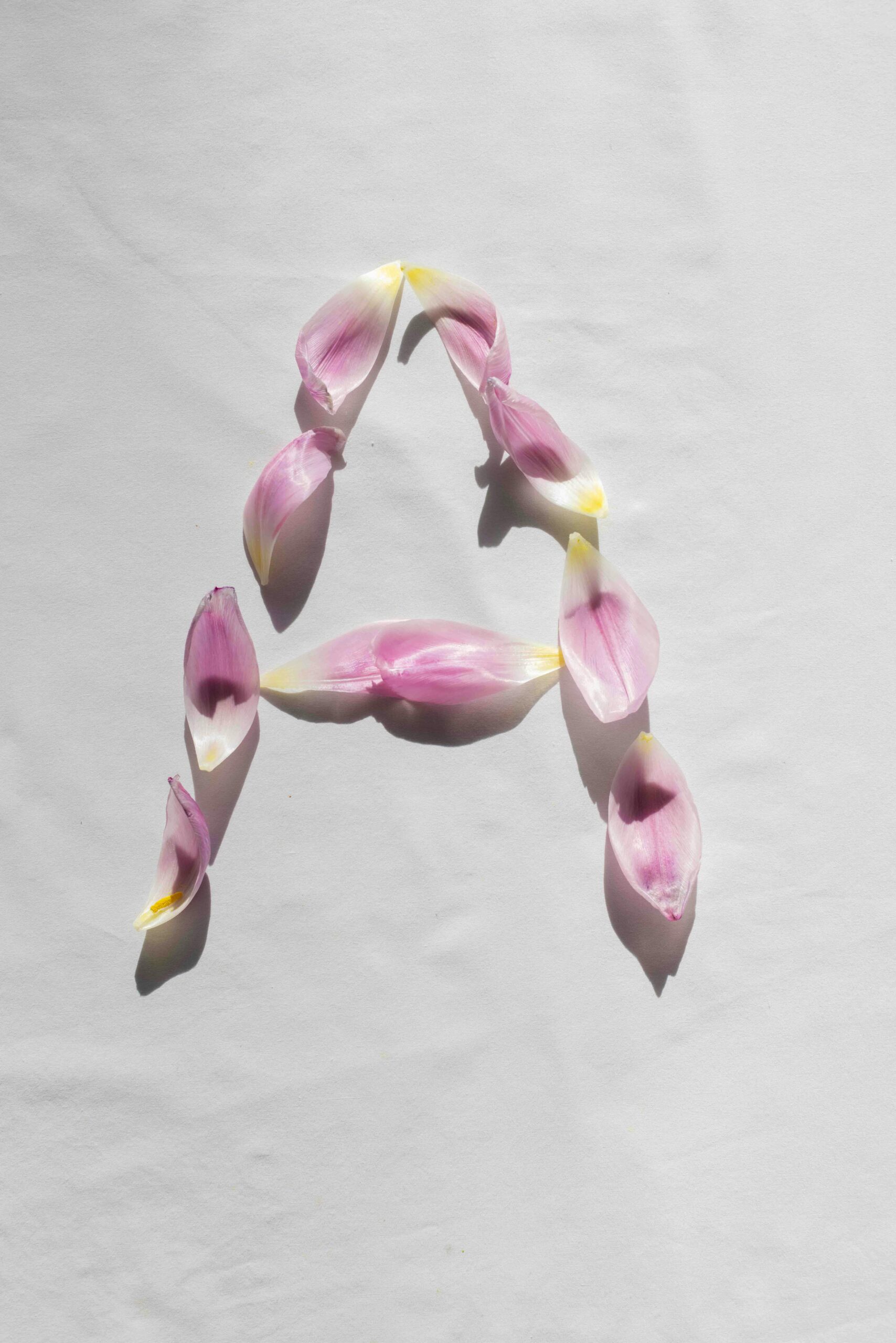 Artistic arrangement of flower petals forming the letter 'A' on a plain backdrop.